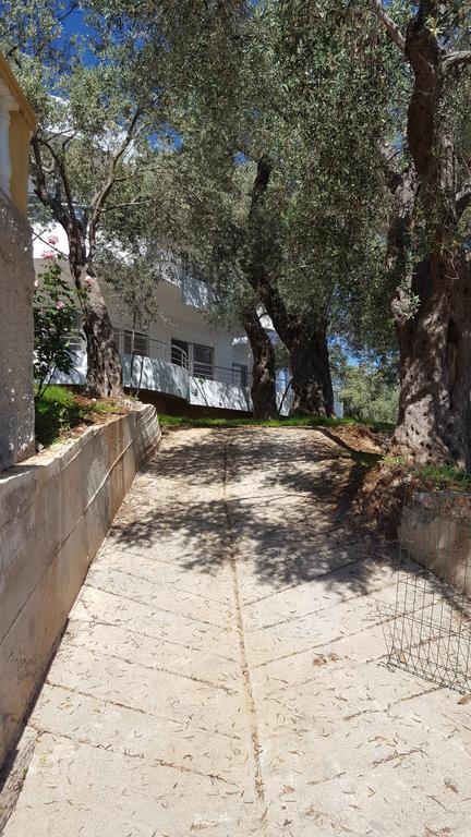 Apartments Sirena Ulcinj Exterior foto